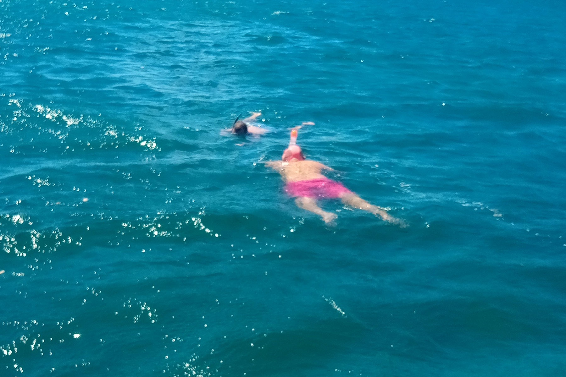 Speed Boat Tour in Mauritius