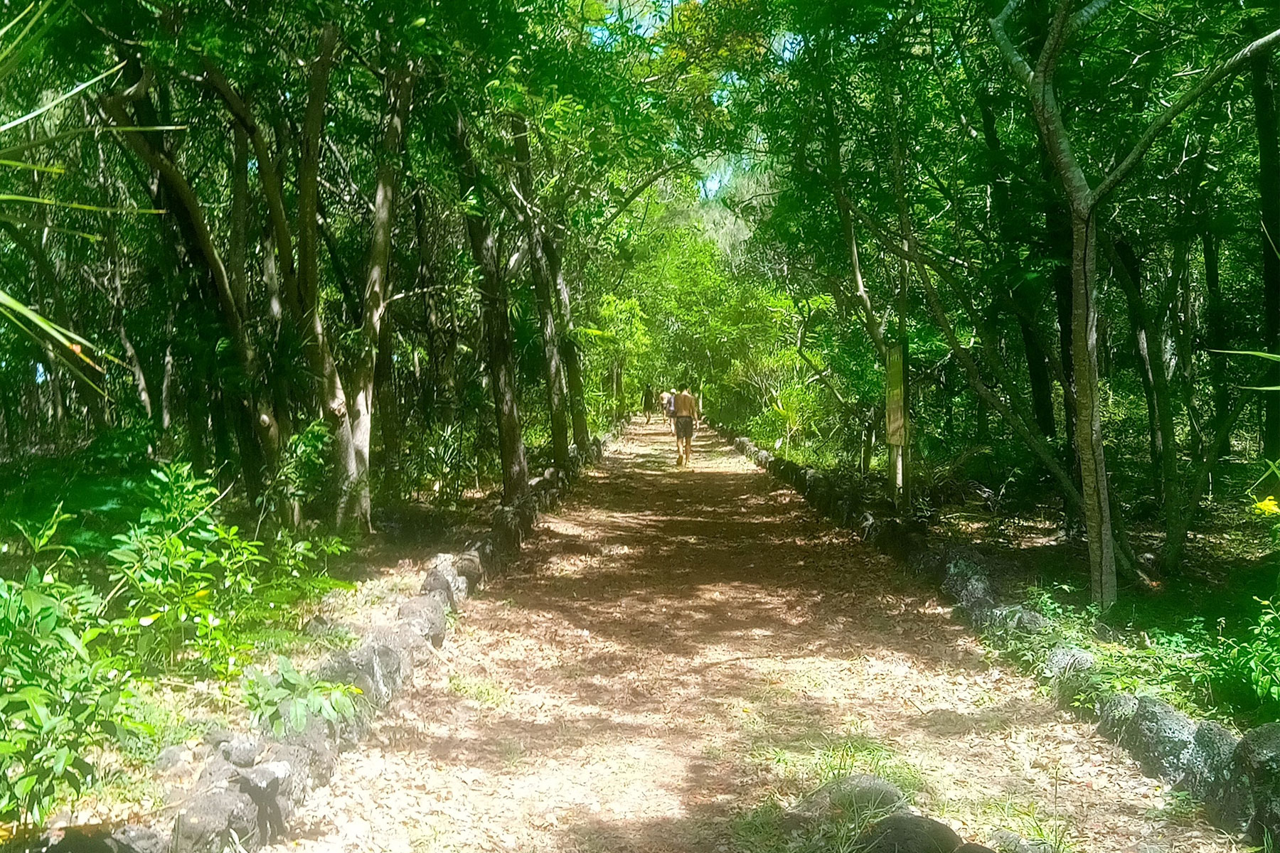 Speed Boat Tour in Mauritius