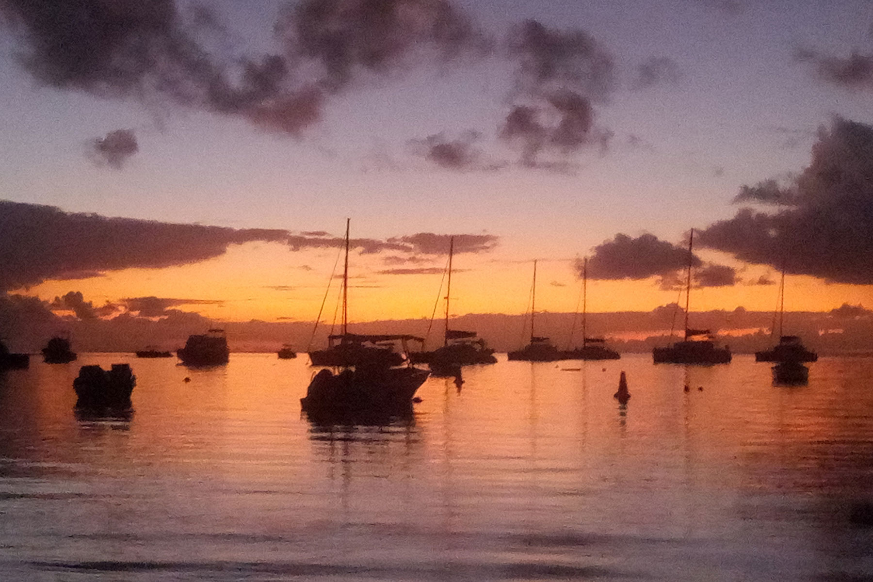 Speed Boat Tour in Mauritius